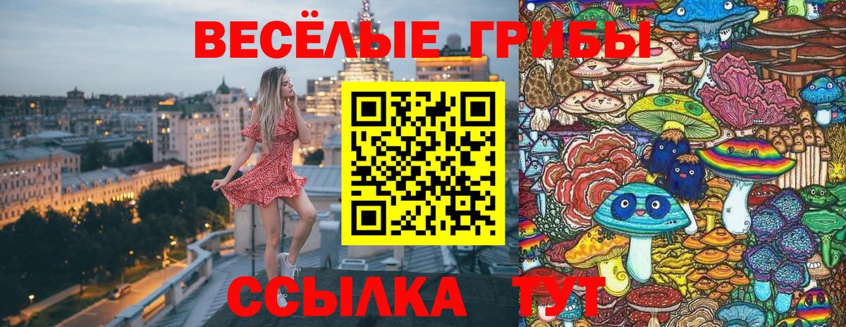Будённовск  Псилоцибиновые грибы Magic Shrooms  Галлюциногенные грибы мицелий  Вход с VPN 