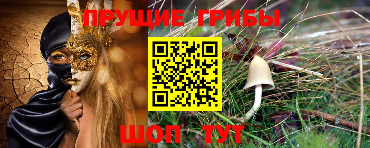 Псилоцибиновые грибы прущие грибы Будённовск